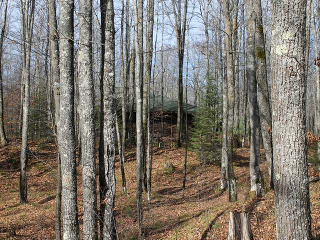 Gallery Image 7