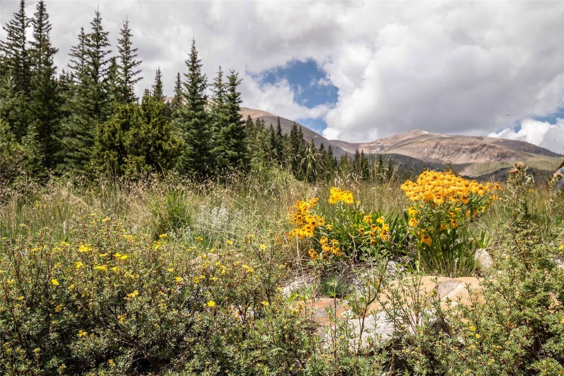 152 Cliff's Way Alma, CO 80420 - Photo 13 of 32