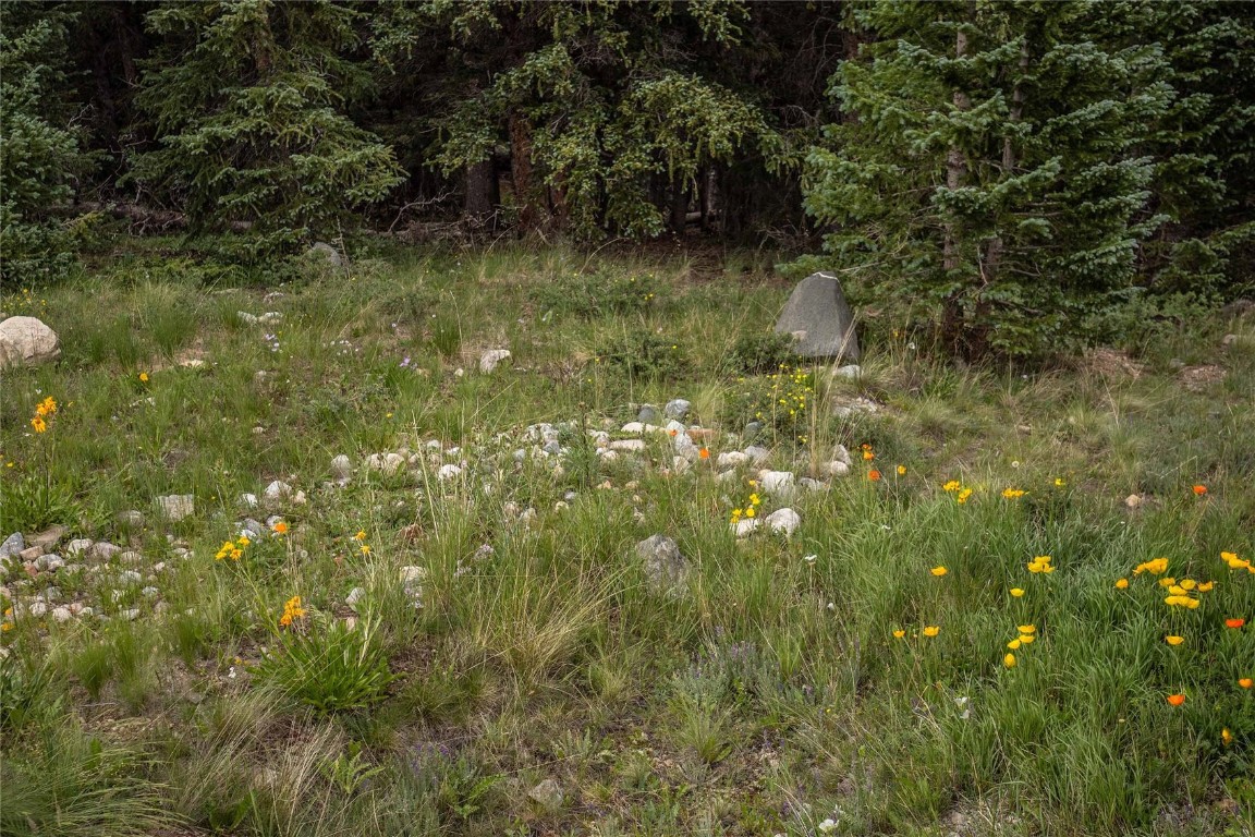 152 Cliff's Way Alma, CO 80420 - Photo 15 of 32