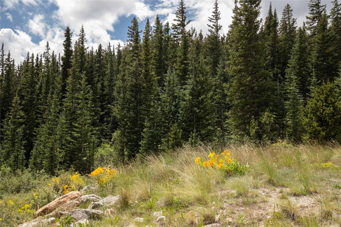 152 Cliff's Way Alma, CO 80420 - Photo 20 of 32