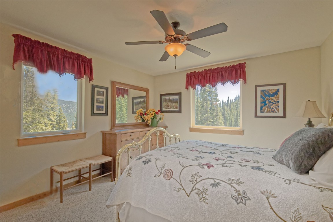 152 Cliff's Way Alma, CO 80420 - Photo 24 of 32