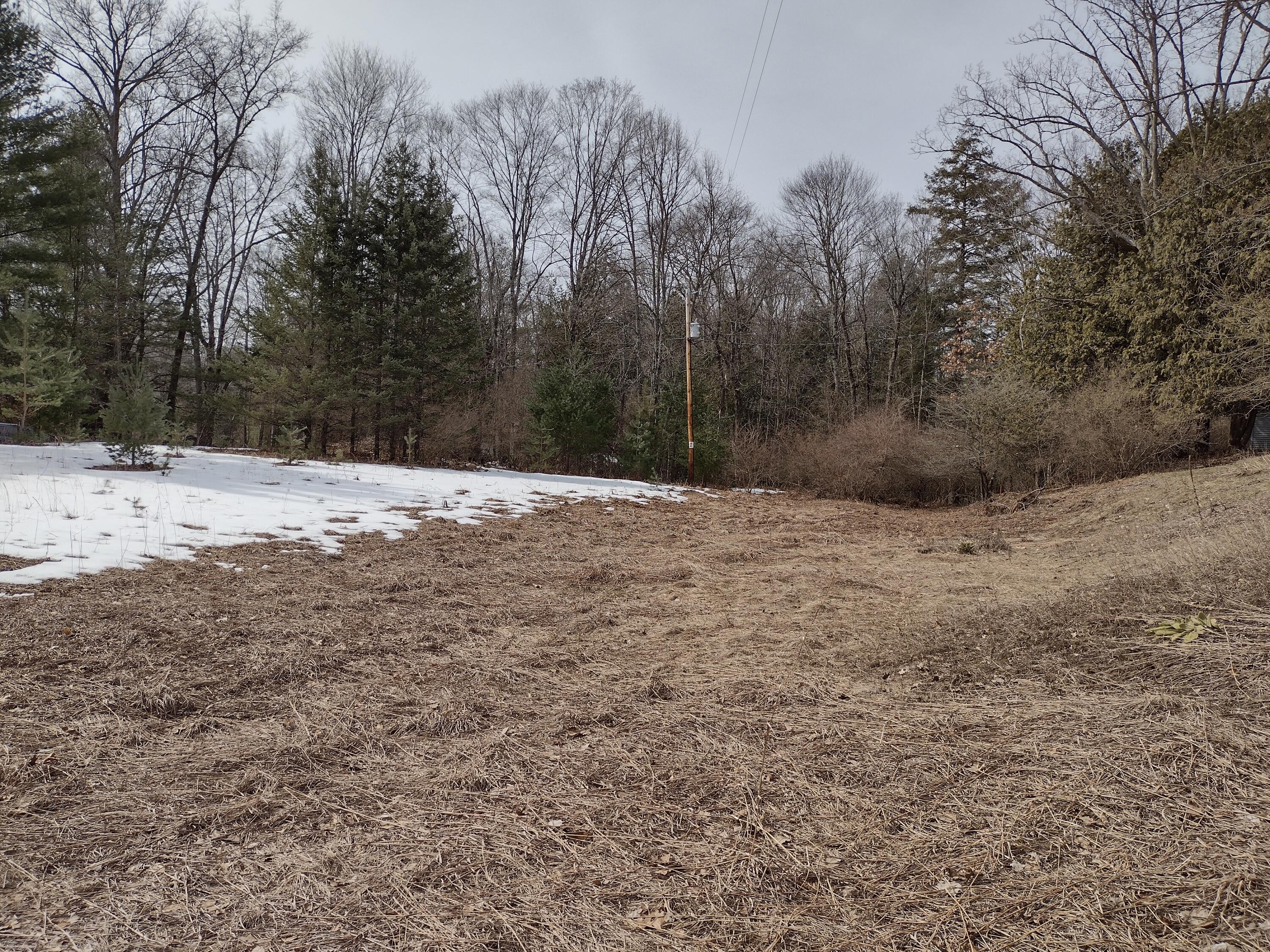 South Landon Road Branch, MI 49402 - Photo 1 of 16 IMG_20230321_135657560_HDR