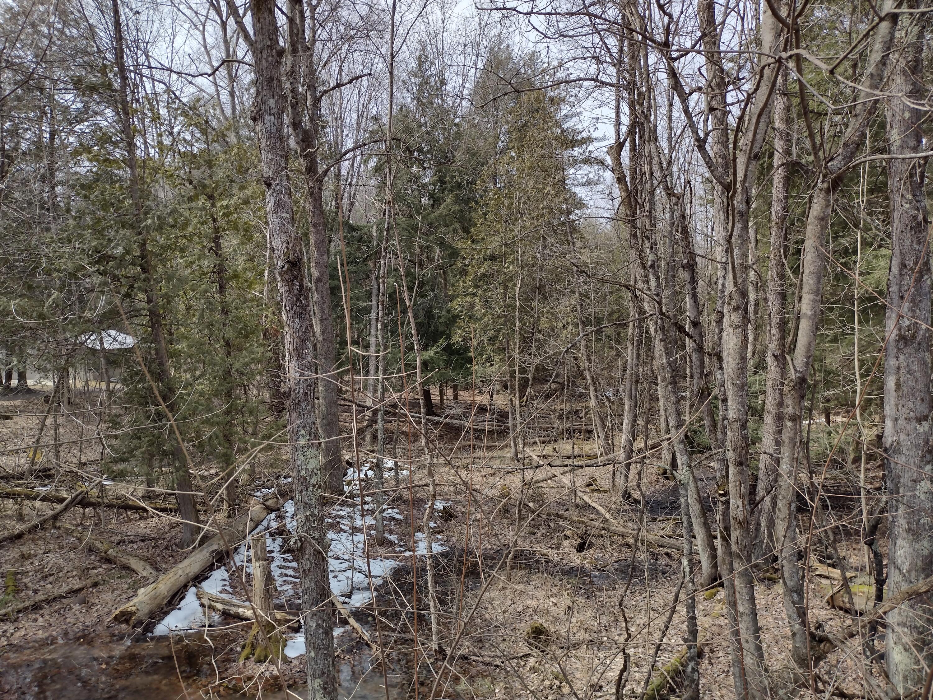 South Landon Road Branch, MI 49402 - Photo 5 of 16 IMG_20230321_135800741_HDR