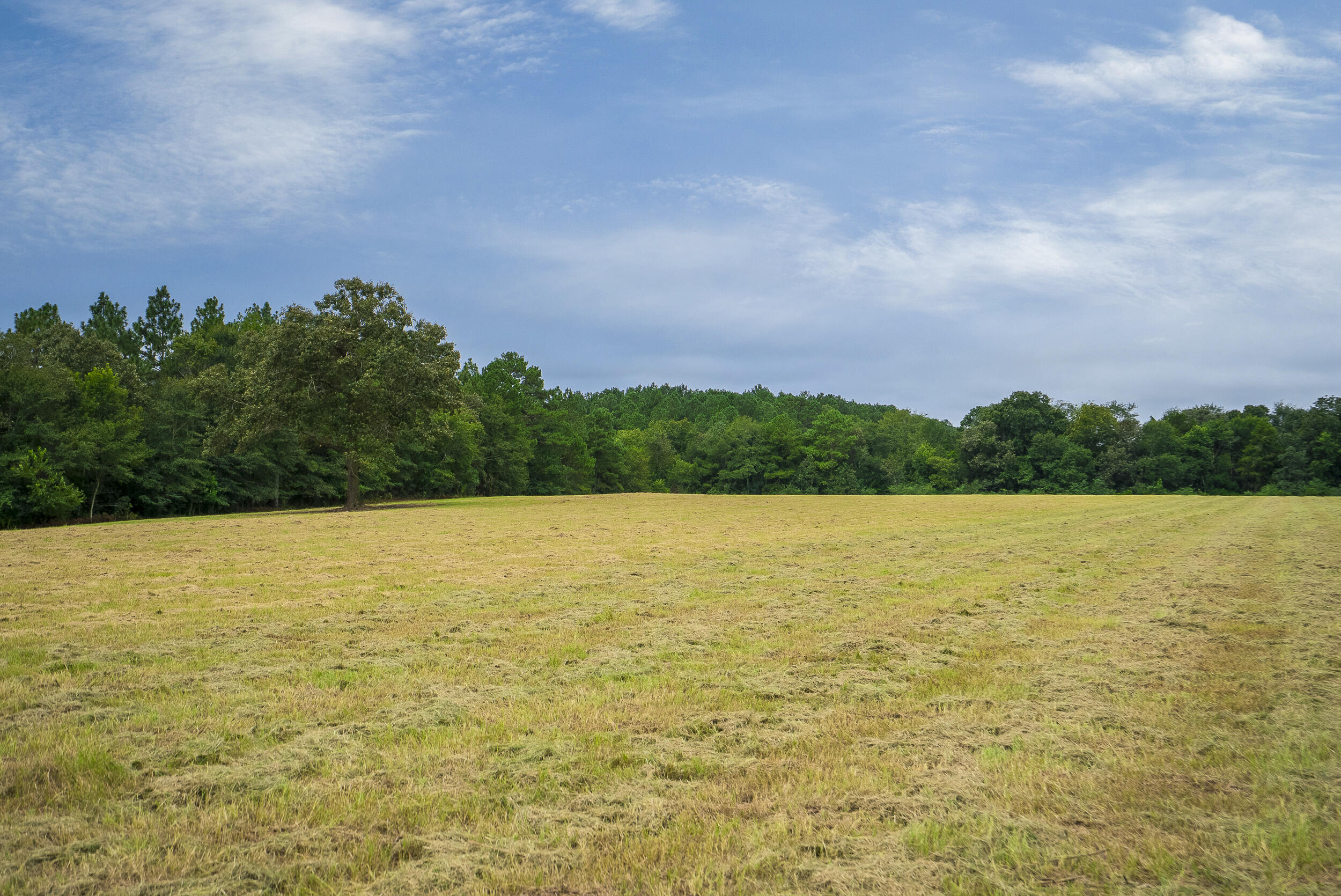 0 Cedar Creek Road Windsor, SC 29856 - Photo 14 of 31 Gallery Image 14
