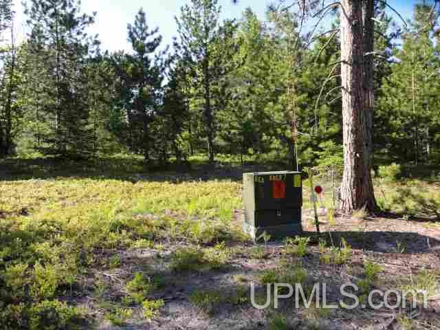 Tbd Little Rice Lk Road, Unit LOT 23 Lake Linden, MI 49945 - Photo 3 of 9