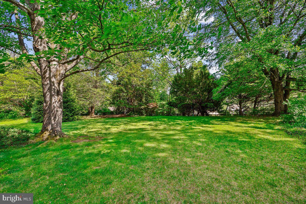 1421 Morningside Drive Silver Spring, MD 20904 - Photo 32 of 37 Spacious backyard with mature trees
