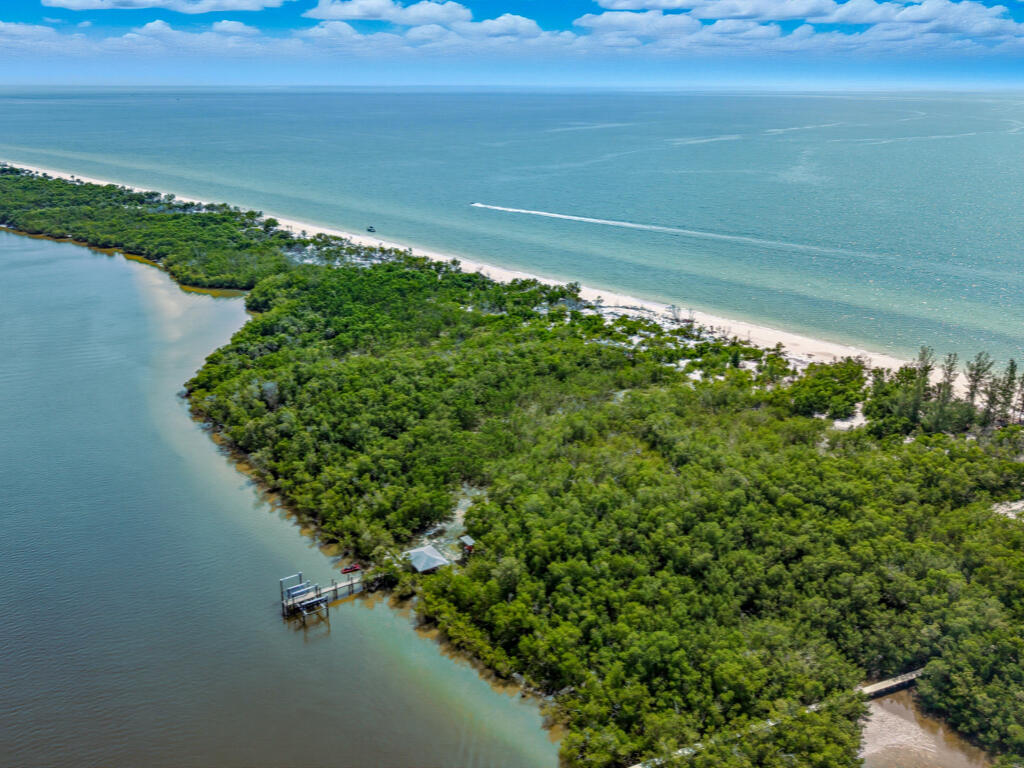 11799 Keewaydin Naples, FL 34113 - Photo 17 of 18 a view of a lake