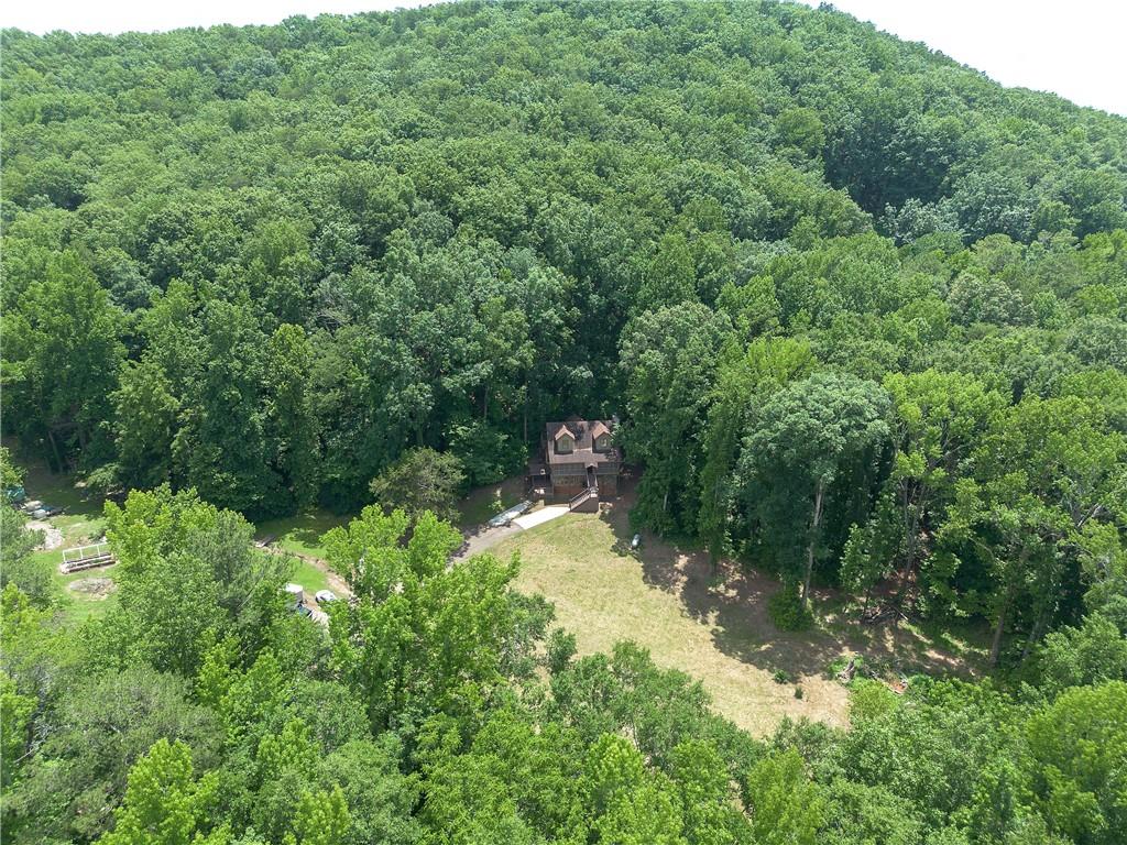331 Salacoa Road Southeast Fairmount, GA 30139 - Photo 7 of 87