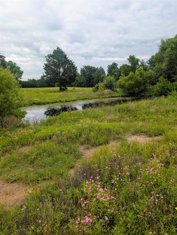 400 County Road 2815 Mabank, TX 75147 - Photo 11 of 18 a view of a golf course with a lake