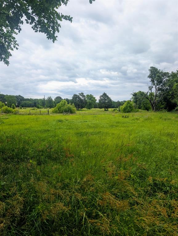400 County Road 2815 Mabank, TX 75147 - Photo 10 of 18 a view of an outdoor space and yard