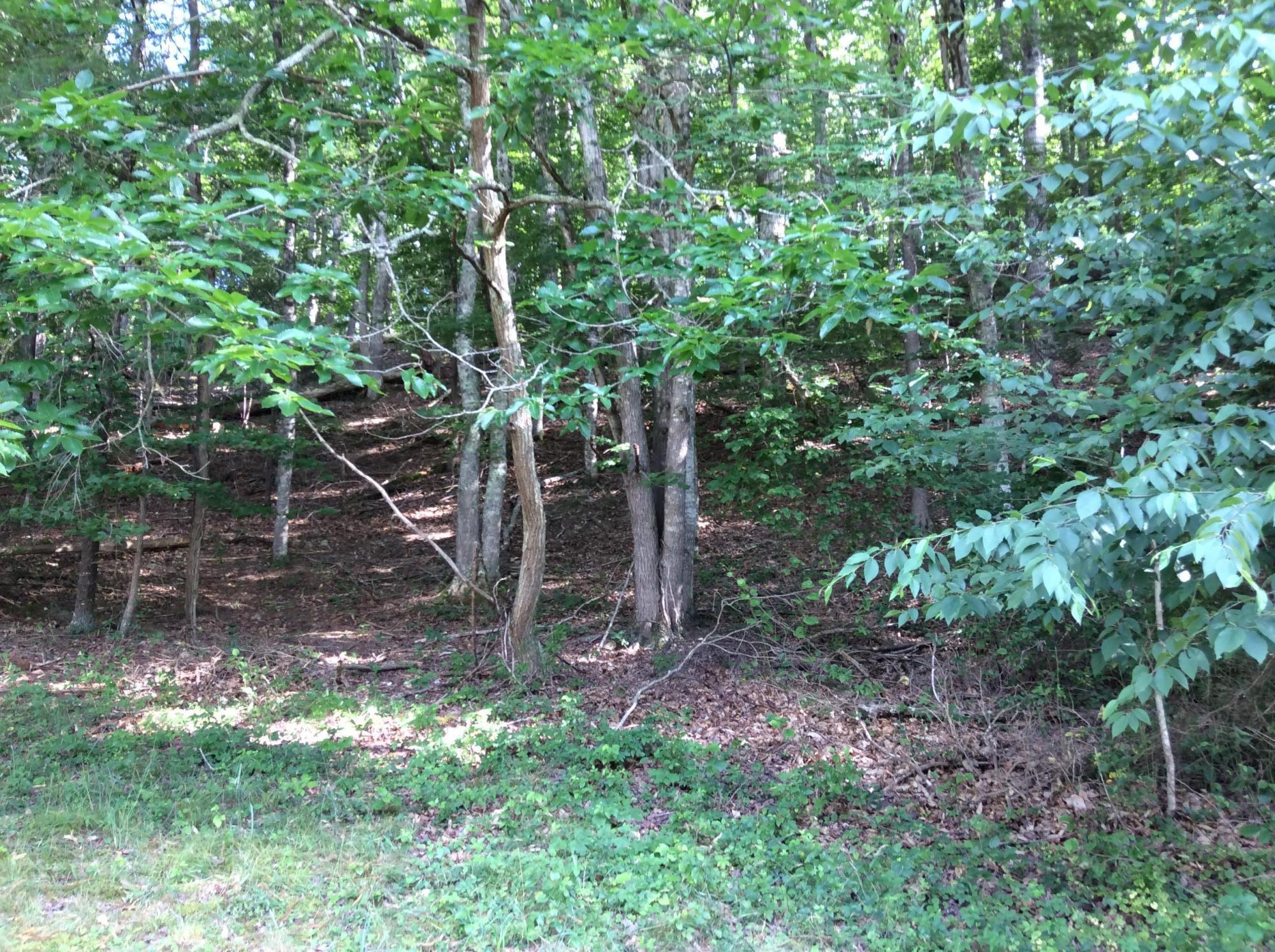 273 Paint Bank Road New Castle, VA 24127 - Photo 6 of 38 IMG_0660