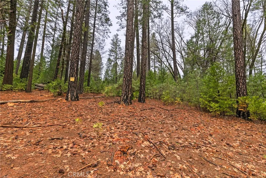 0 Christina Drive Forest Ranch, CA 95942 - Photo 18 of 18 a view of outdoor space with trees