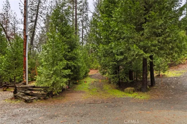 a view of a road with plants and a trees