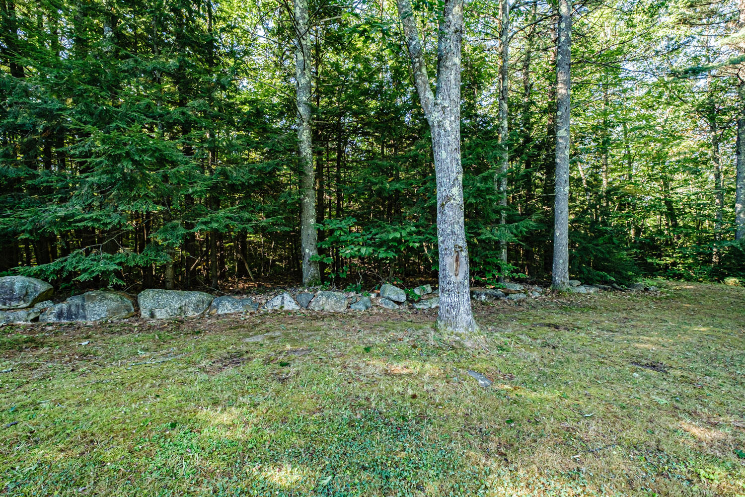 582 Allen Pond Road Greene, ME 04236 - Photo 48 of 51 20200904gp-60052