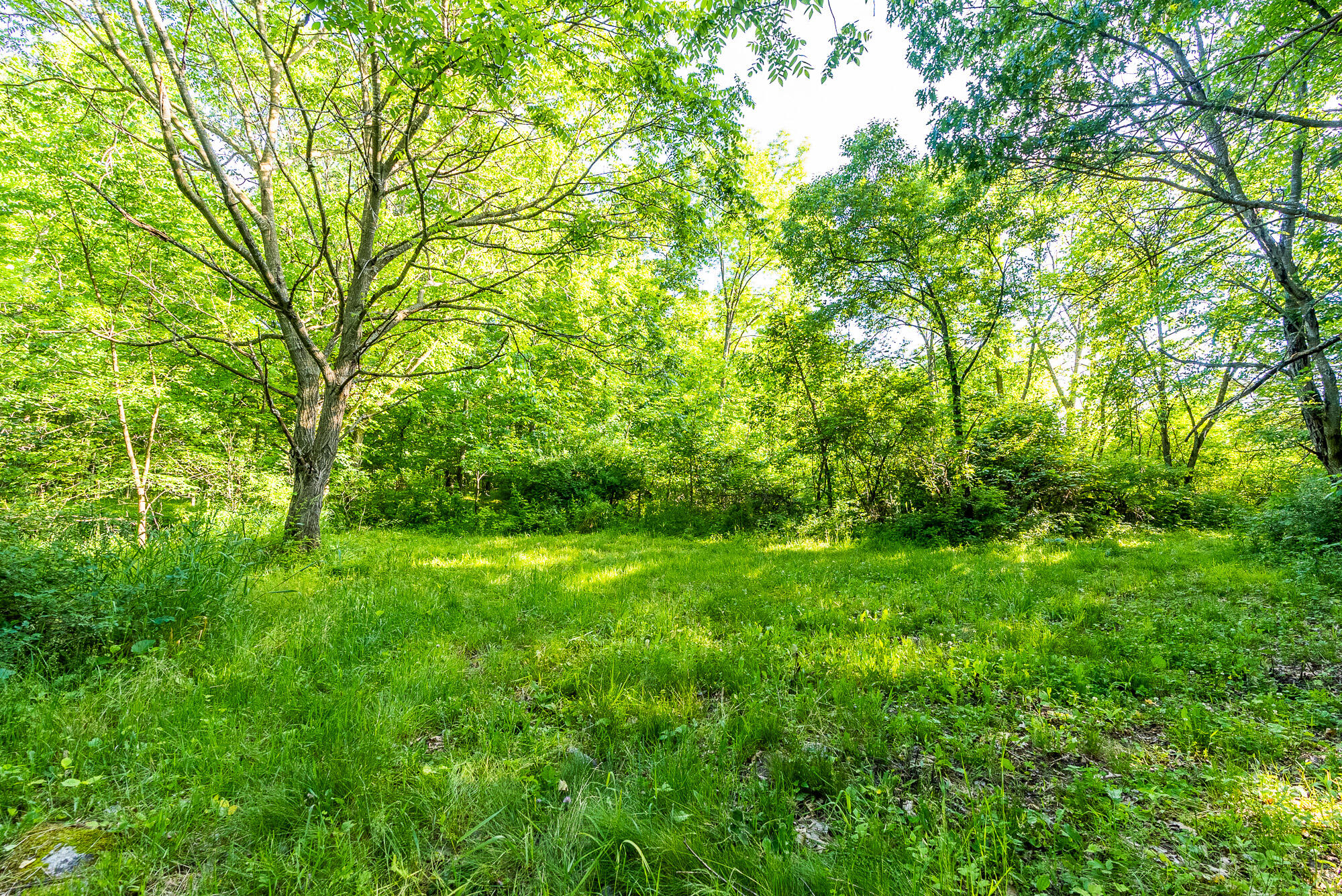 Lt0 Denzer Road North Freedom, WI 53951 - Photo 12 of 68 Sauk-County-WI-54-Acres-Land-For-Sale-12