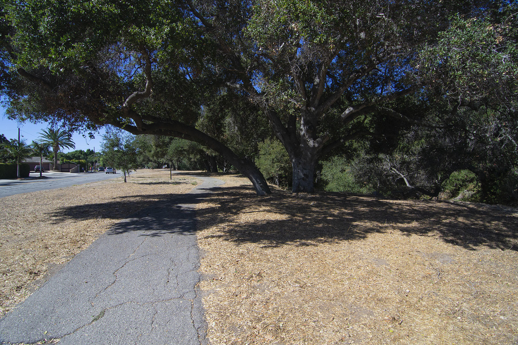 534 Ribera Drive Santa Barbara, CA 93111 - Photo 13 of 14 bikepath