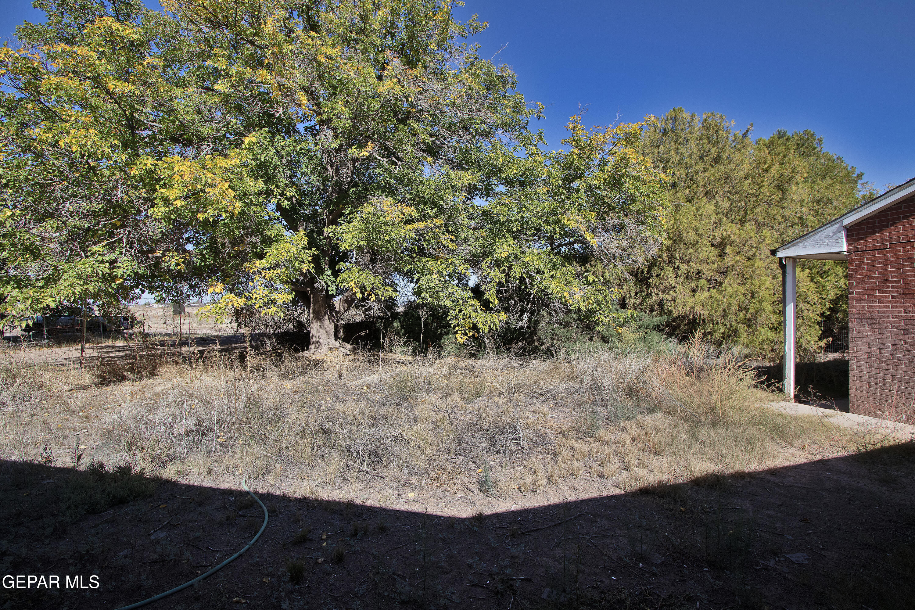 110 Southwest Creosote Road Out Of Service Area, OUT OF SERVICE AREA 99999 - Photo 13 of 101 a view of a yard with an outdoor space