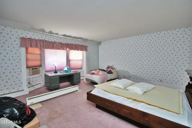 a view of an entryway with a flower pot