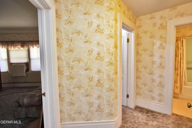 a view of a dry yard with trees