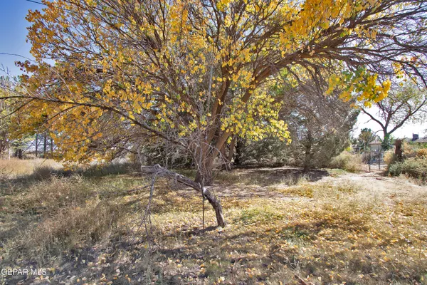 $299,950 | 110 Southwest Creosote Road, Deming, OUT OF SERVICE AREA 88030