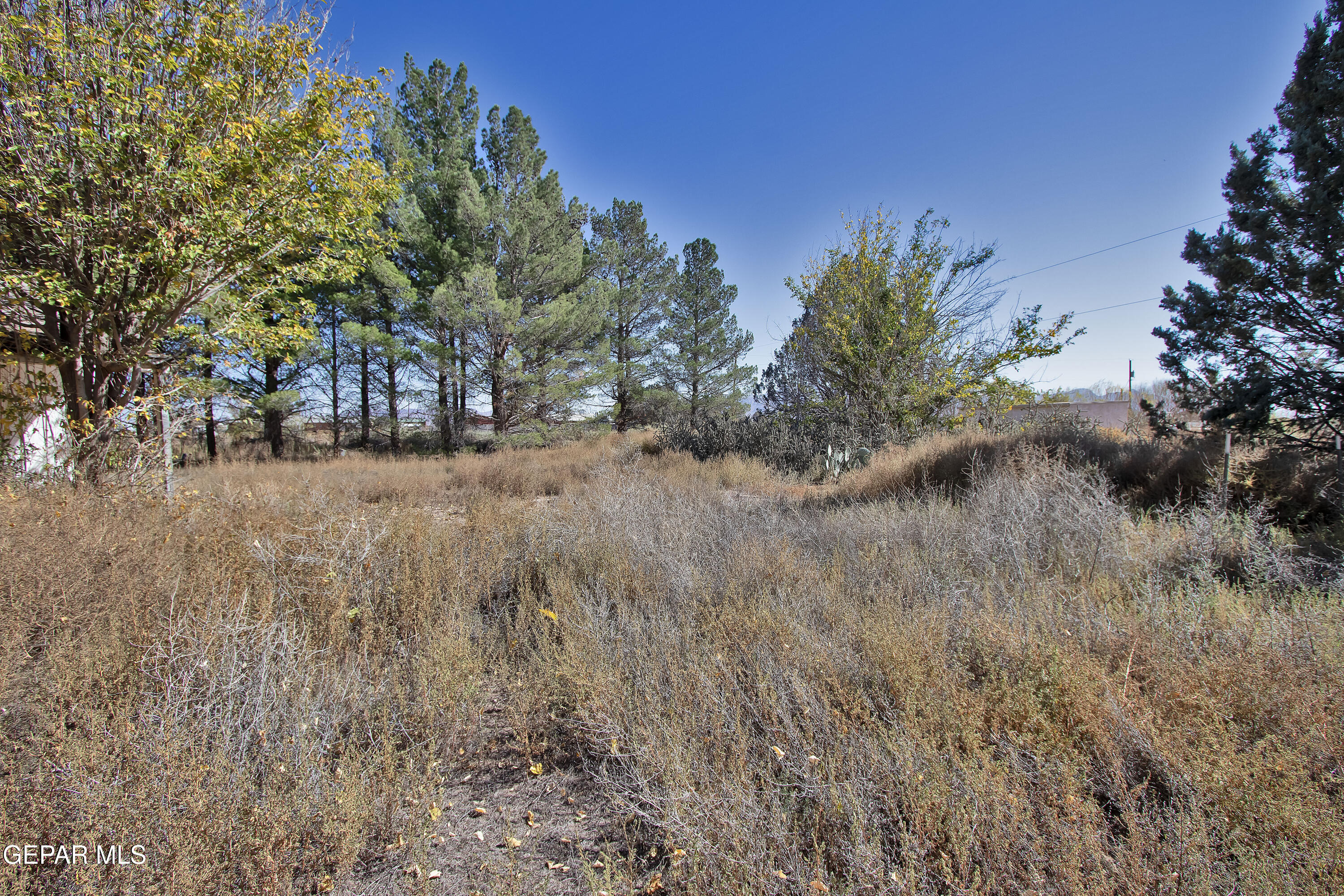 110 Southwest Creosote Road Out Of Service Area, OUT OF SERVICE AREA 99999 - Photo 86 of 101 a view of a yard with trees