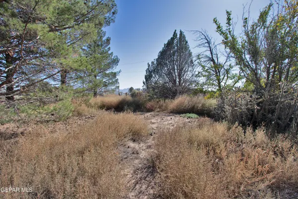 $299,950 | 110 Southwest Creosote Road, Deming, OUT OF SERVICE AREA 88030