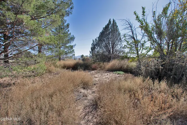 $299,950 | 110 Southwest Creosote Road, Out Of Service Area, OUT OF SERVICE AREA 99999