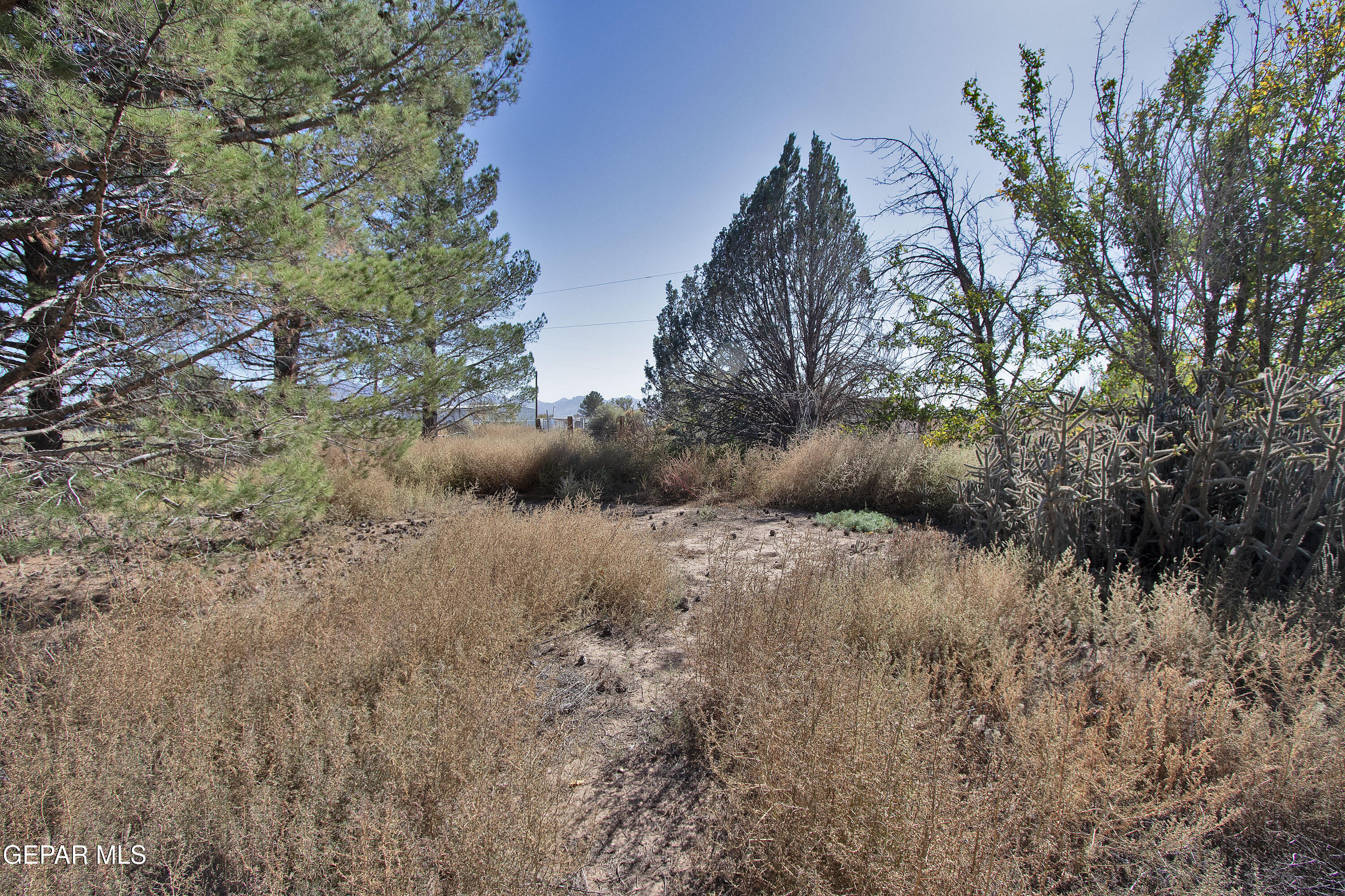 110 Southwest Creosote Road Out Of Service Area, OUT OF SERVICE AREA 99999 - Photo 88 of 101 a view of a dry yard with trees