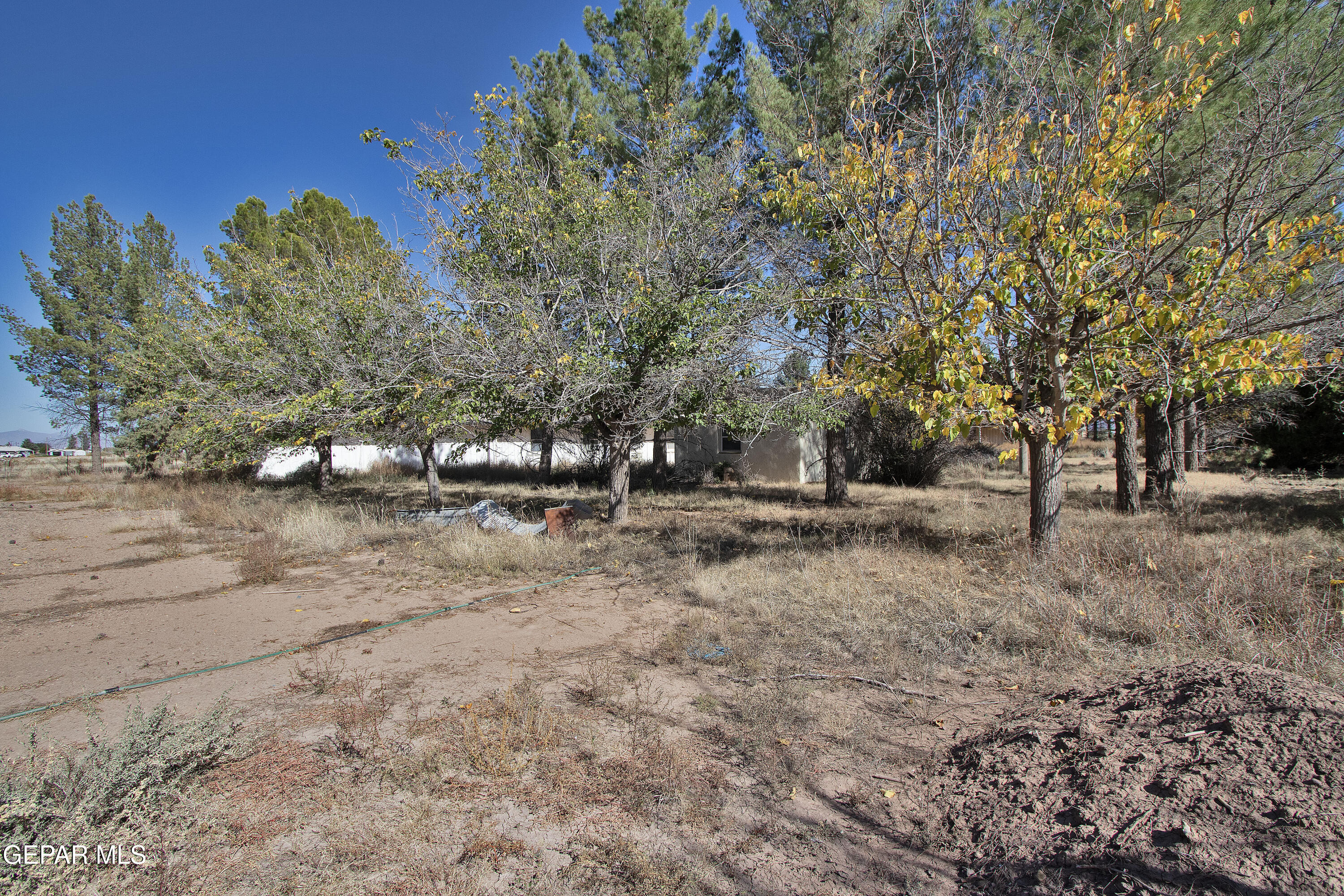 110 Southwest Creosote Road Out Of Service Area, OUT OF SERVICE AREA 99999 - Photo 90 of 101 a view of outdoor space with trees