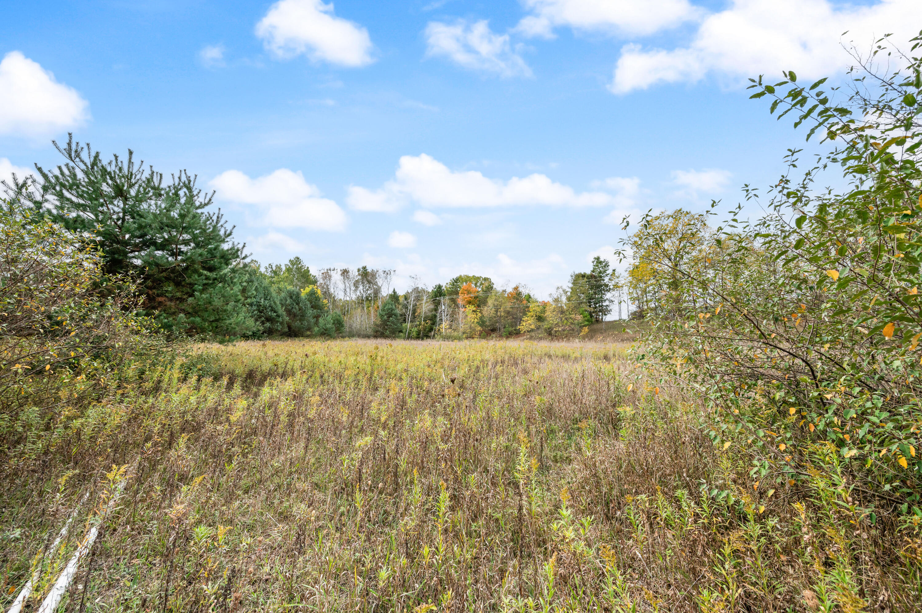 22-23 Davison Road Paris, MI 49338 - Photo 13 of 20 DavisonRd-BR-11