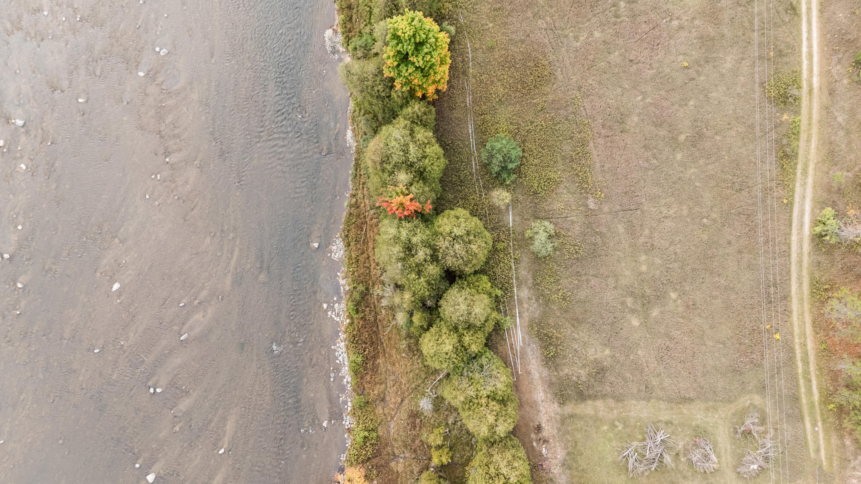 22-23 Davison Road Paris, MI 49338 - Photo 18 of 20 DavisonRd-BR-14