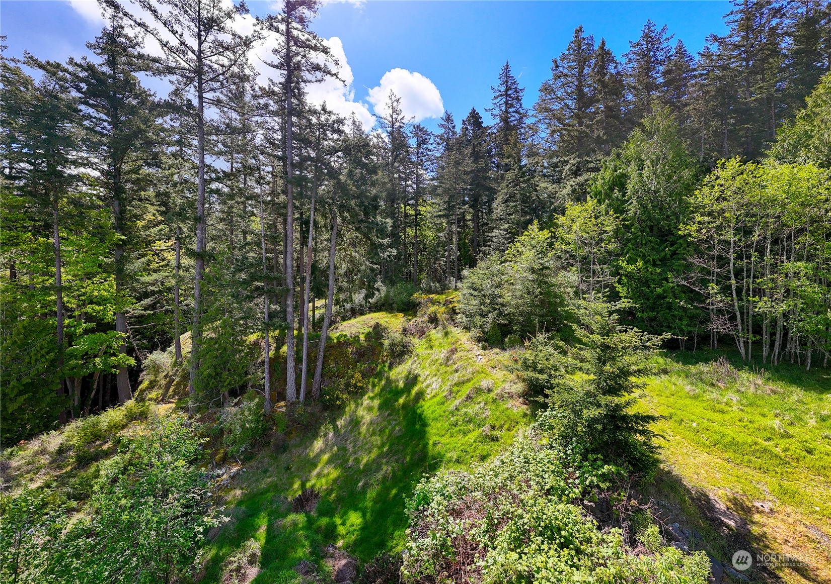 2907 17th Street Anacortes, WA 98221 - Photo 4 of 4 a view of a garden with trees