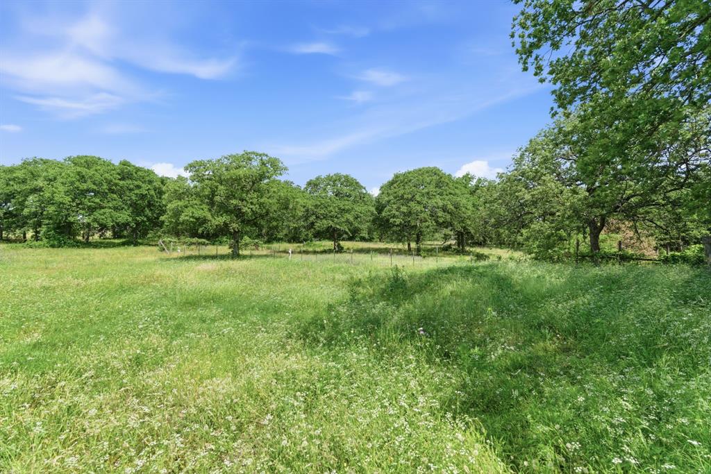 3523 East Highway 199 Springtown, TX 76082 - Photo 29 of 40 Expansive green field featuring mature trees