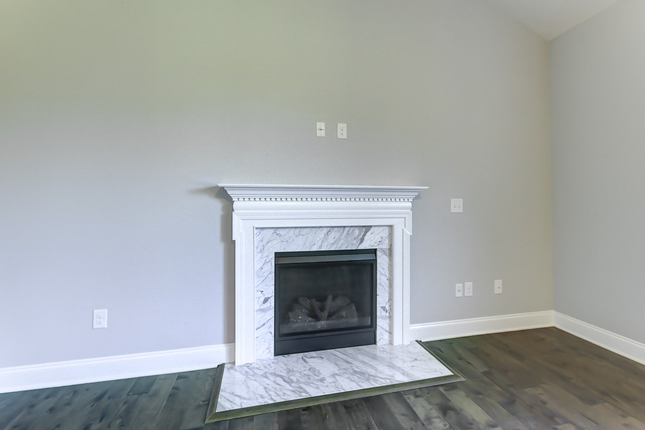 1013 Sky Wave Trail, Unit 3 Raleigh, NC 27603 - Photo 15 of 25 Fireplace