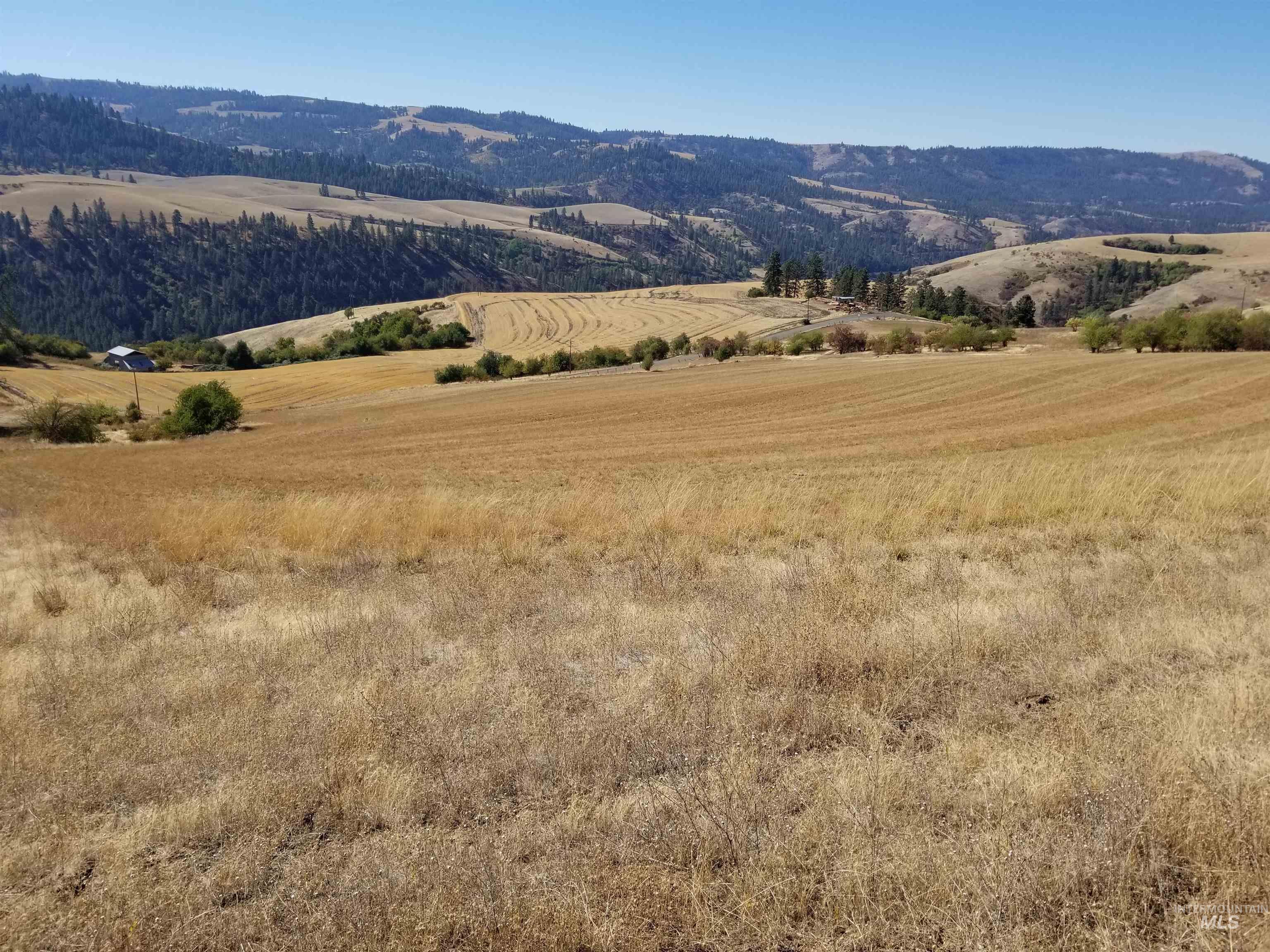 Tbd Sunnyside Bench Road Lenore, ID 83541 - Photo 28 of 37 Gallery Image 28