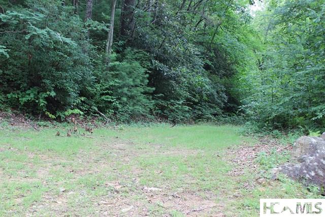 31 Whitewater Ridge Road Sapphire, NC 28774 - Photo 1 of 10 Gallery Image 1