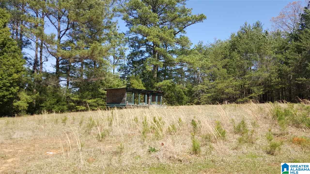 15589 Buster Tierce Road Northport, AL 35475 - Photo 22 of 22