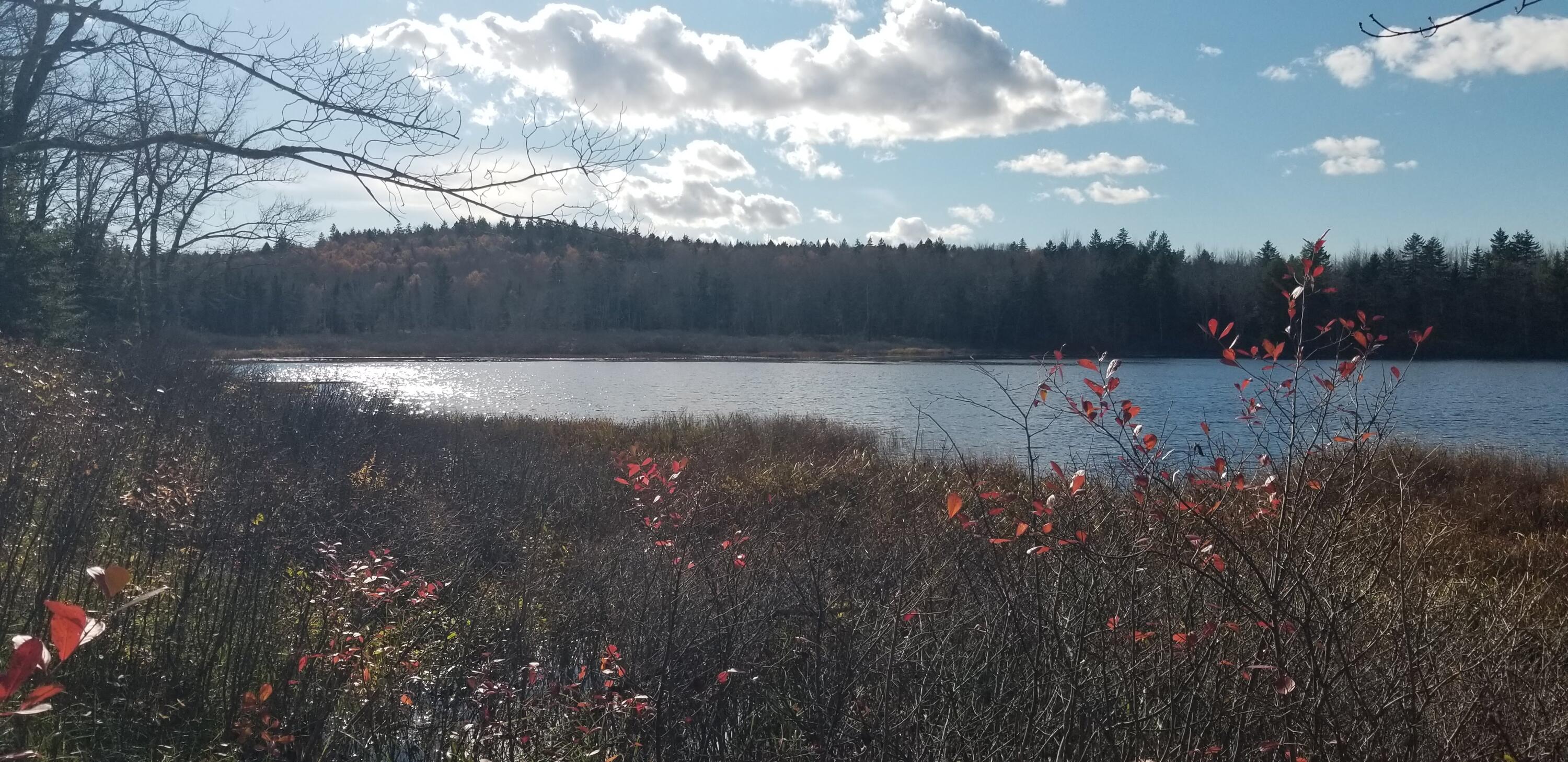 786 Pond Road Gouldsboro, ME 04607 - Photo 9 of 24 20211102_131921