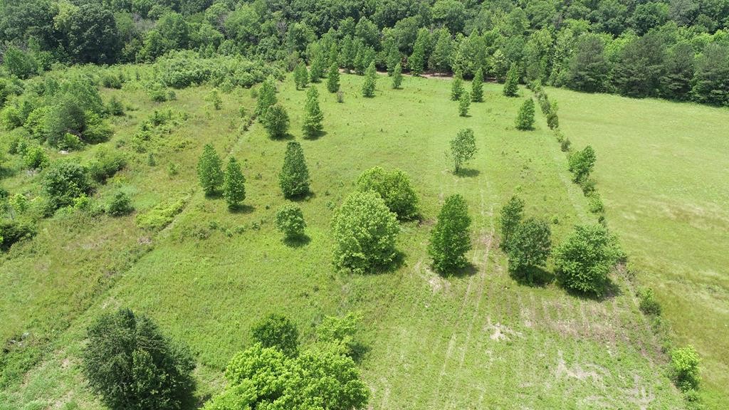 0 County Road 61 Riceville, TN 37370 - Photo 9 of 20 Gallery Image 9