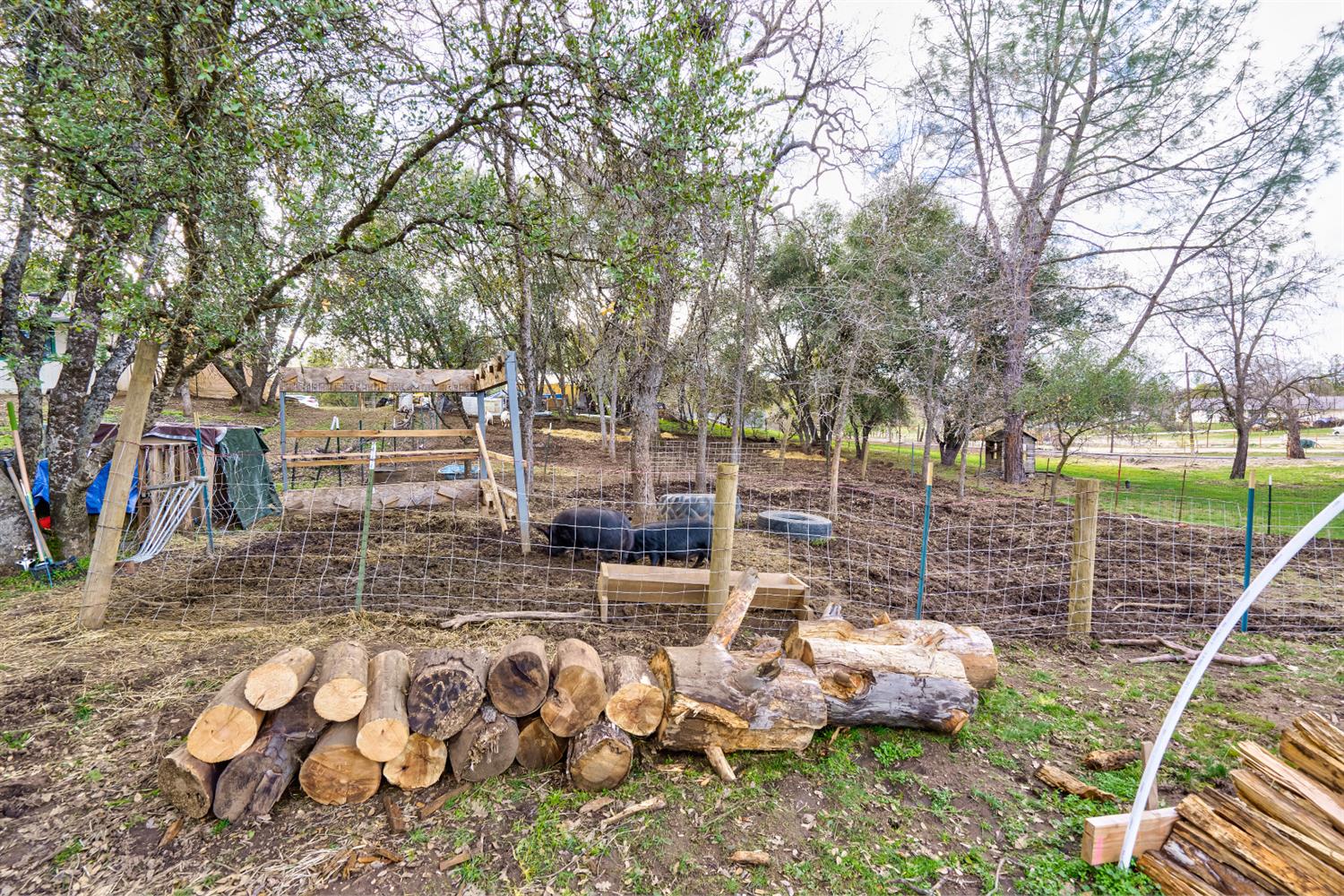 31901 Cherokee Road Coarsegold, CA 93614 - Photo 28 of 35 Gallery Image 28