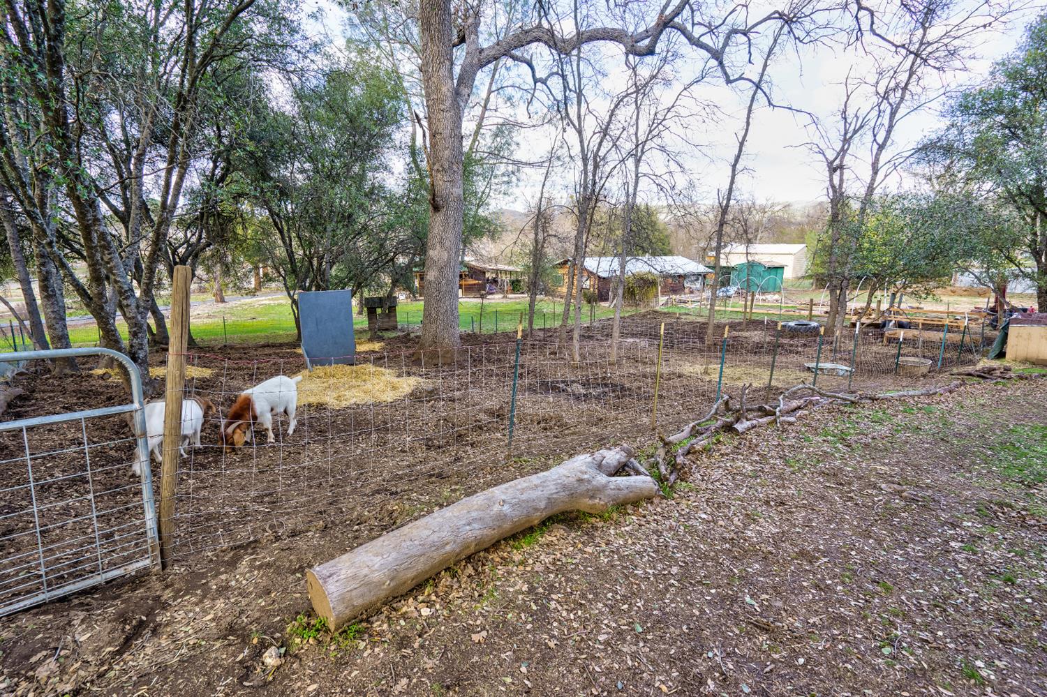 31901 Cherokee Road Coarsegold, CA 93614 - Photo 29 of 35 Gallery Image 29
