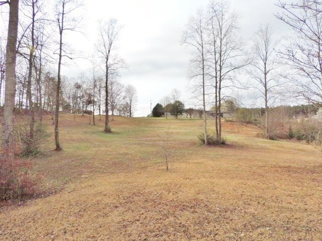 1278 Greenfield Road Westminster, SC 29693 - Photo 6 of 24 Gallery Image 6