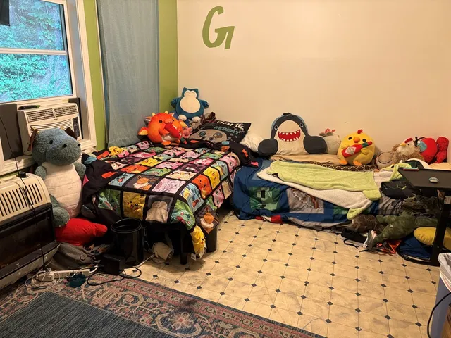 a bedroom with furniture and a window