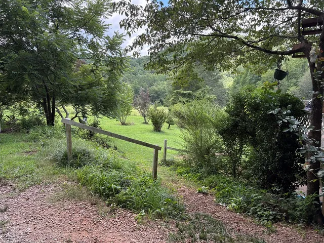 a view of a bunch of trees