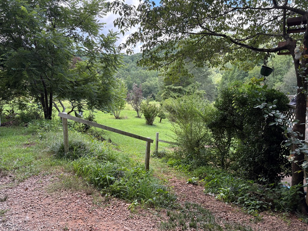24 Doe Run Suches, GA 30572 - Photo 33 of 46 a view of a park with large trees