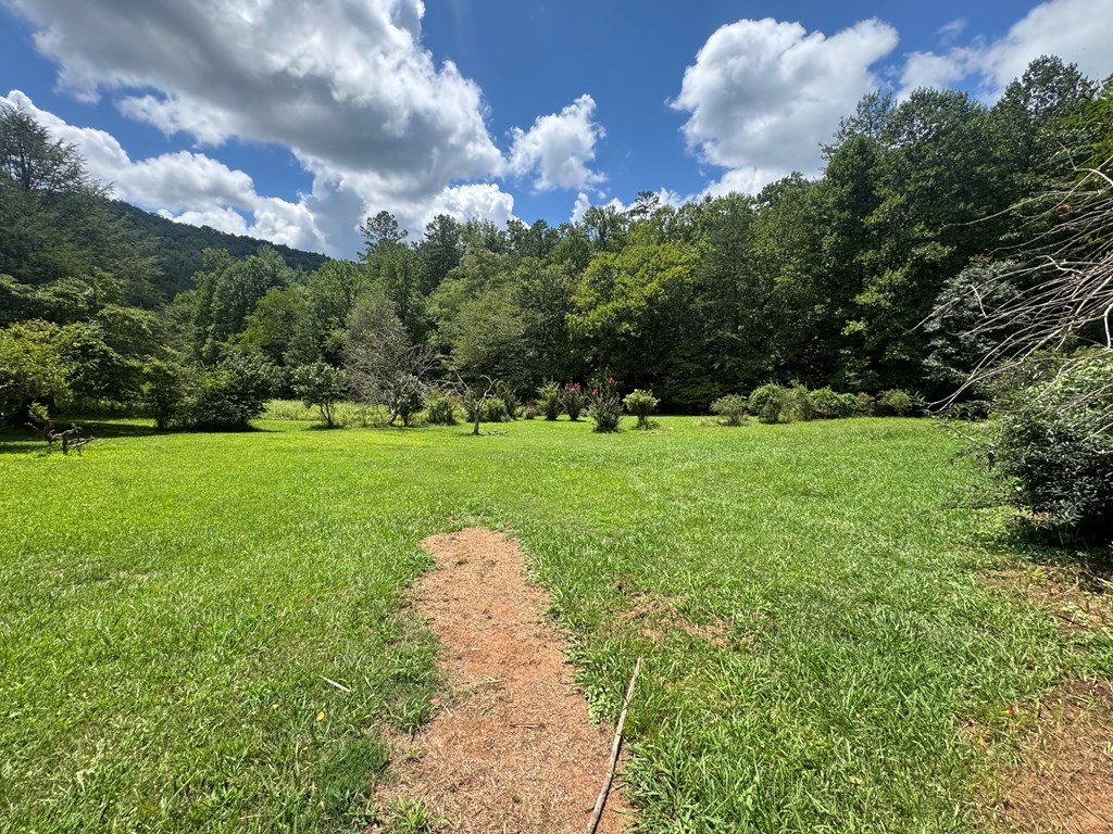 24 Doe Run Suches, GA 30572 - Photo 35 of 46 a view of a garden with a fountain