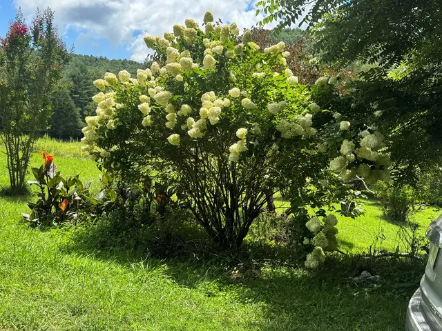 a balcony with wooden floor and outdoor space