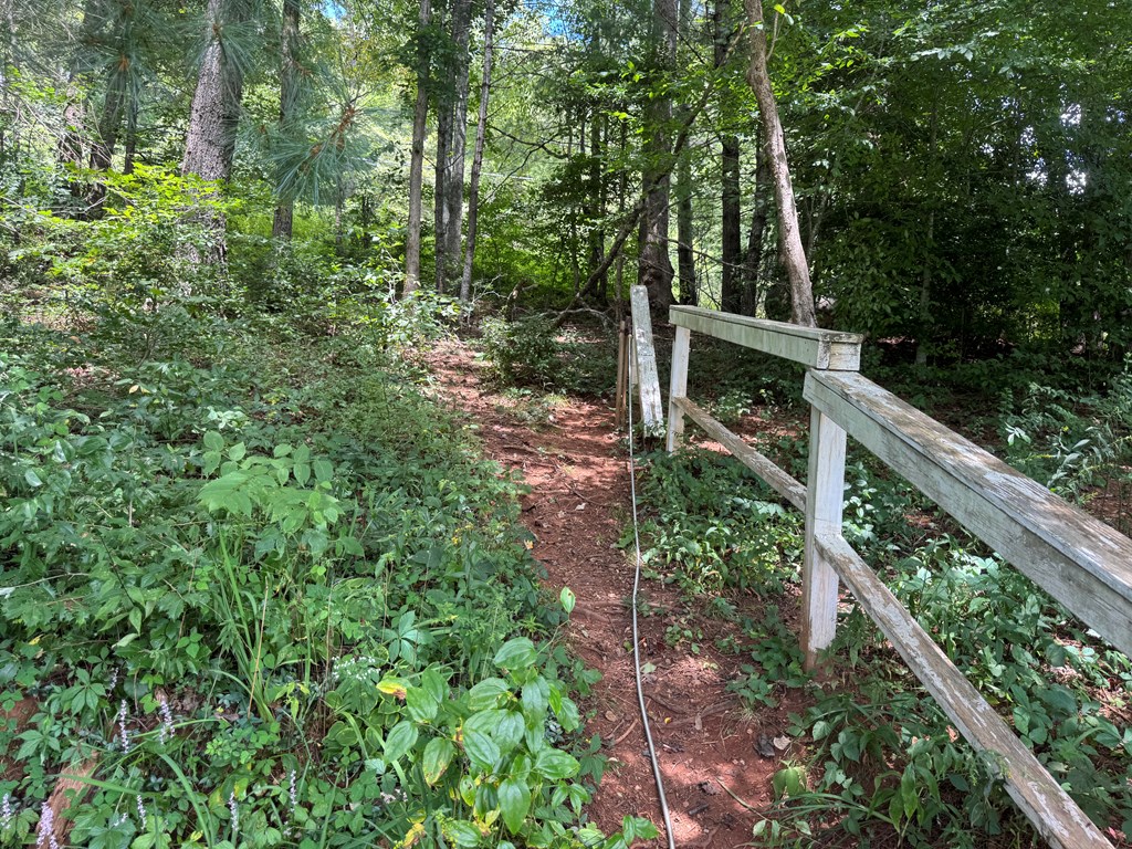 24 Doe Run Suches, GA 30572 - Photo 38 of 46 a balcony with wooden floor and outdoor space
