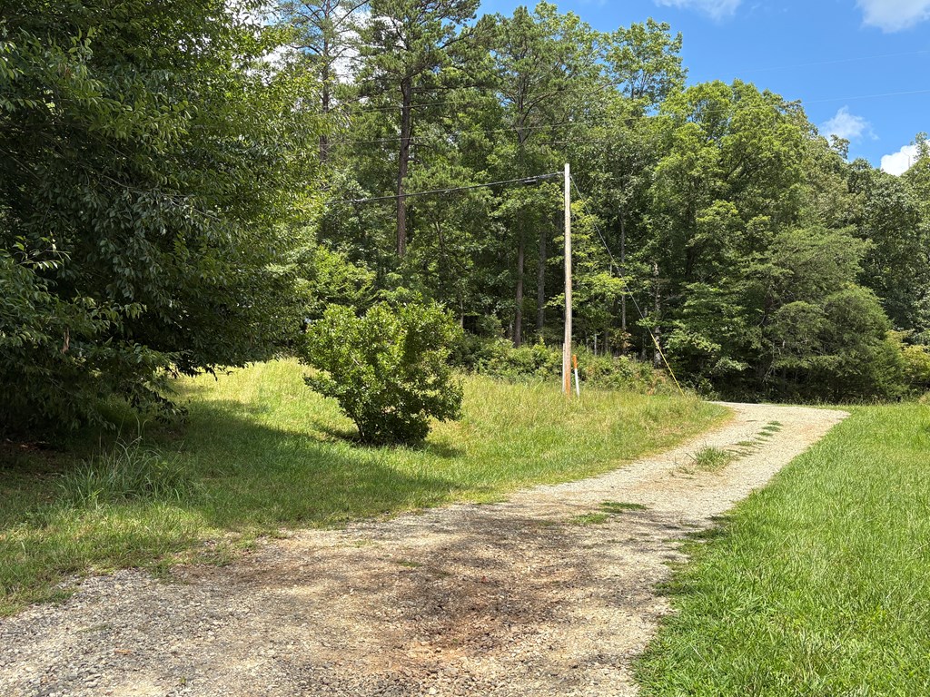 24 Doe Run Suches, GA 30572 - Photo 40 of 46 a view of a park