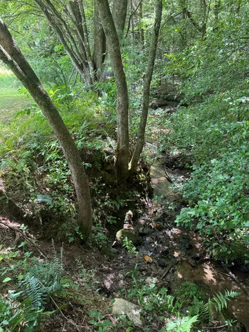 a view of yard with green space